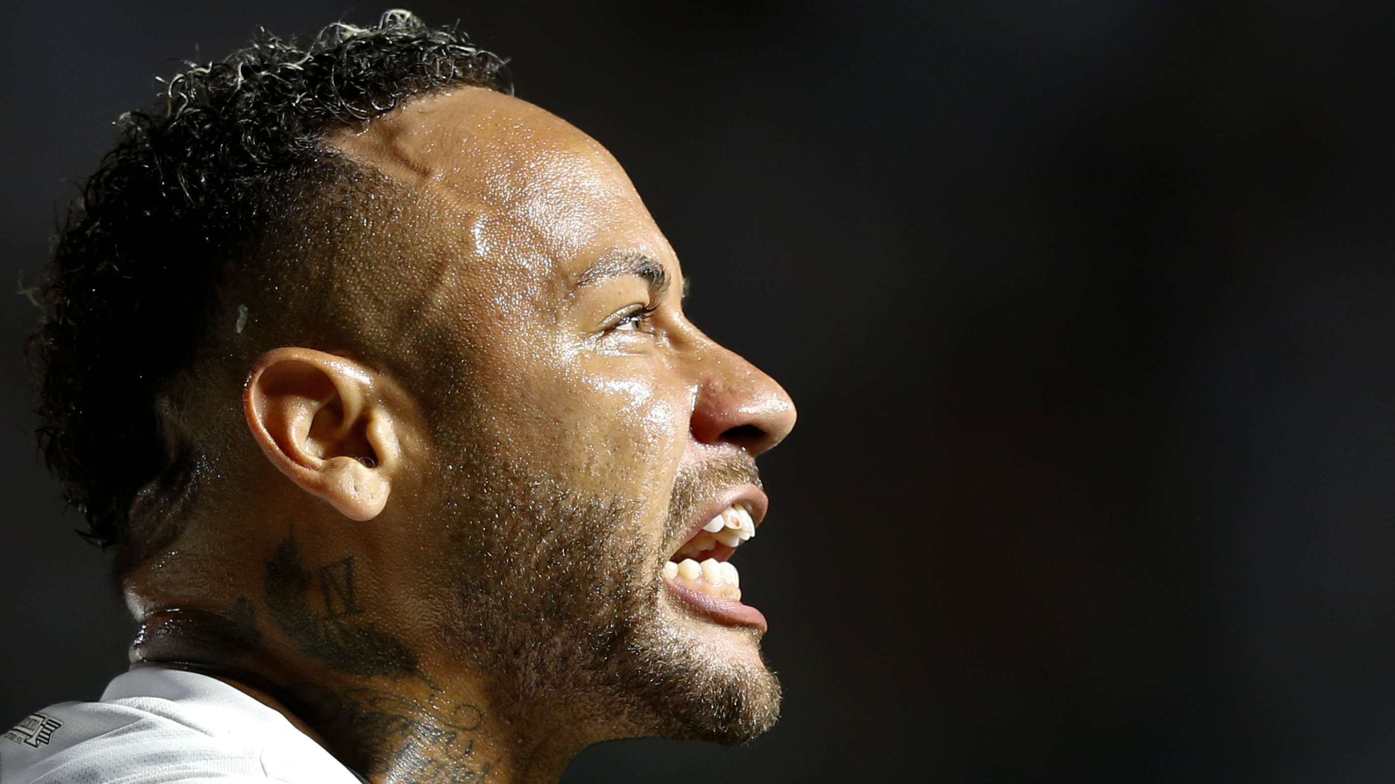 滄州雄獅频 滄州雄獅频