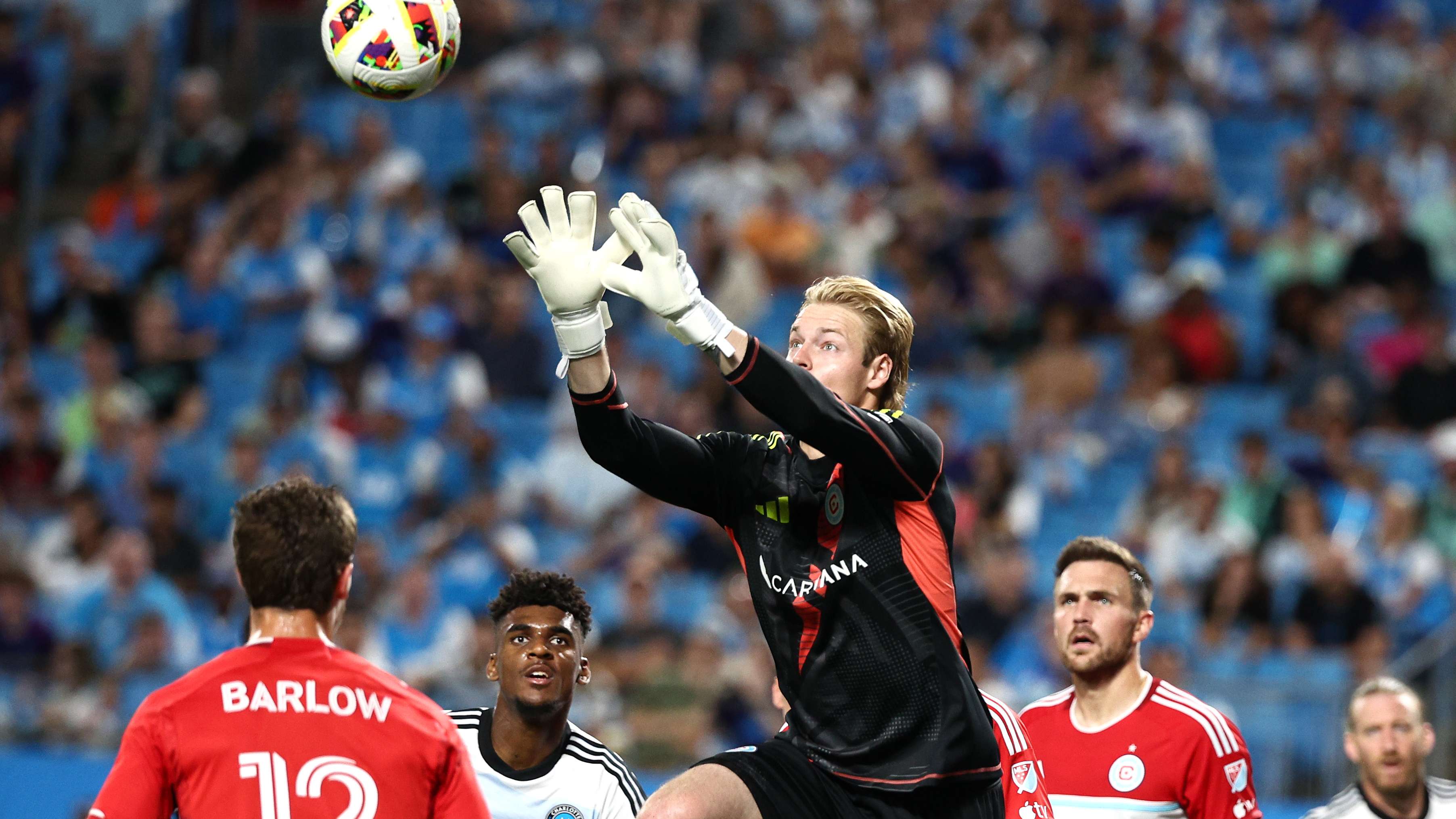 淋漓的胜利 淋漓的胜利